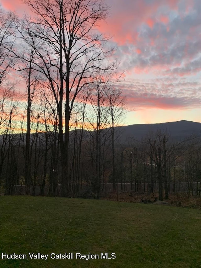 208 Paul Saxe Rd, Catskill, NY 12414 - photo 51