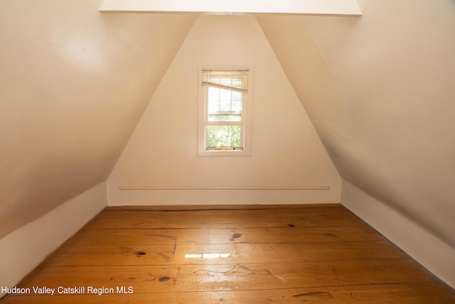 38 Plattekill Ave, New Paltz, NY 12561 - additional living space with hardwood / wood-style floors and vaulted ceiling