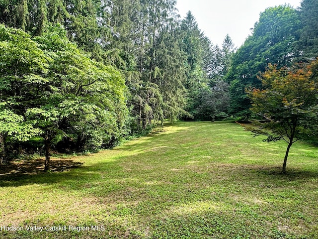 43 Pine Rd, Elizaville, NY 12523 - photo 13
