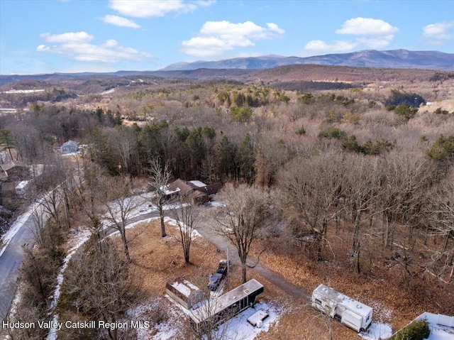 bird's eye view with a mountain view