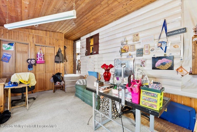 playroom with wooden ceiling, carpet, and wooden walls