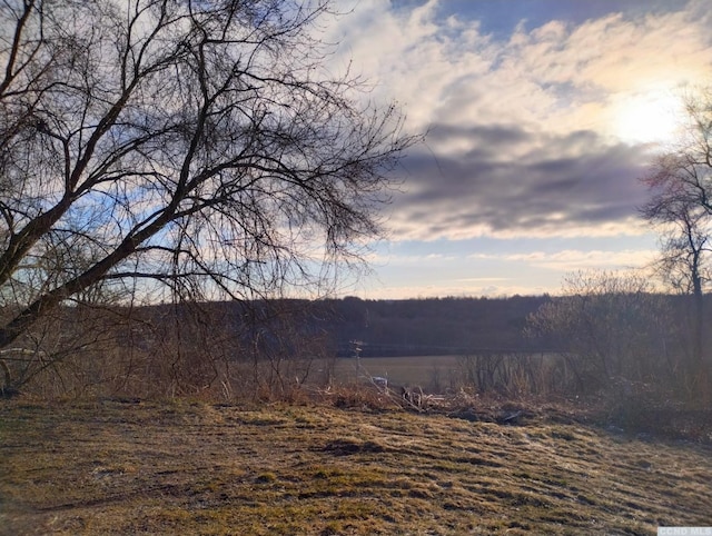 1644 Rte 9, Stuyvesant, NY 12173 - view of yard