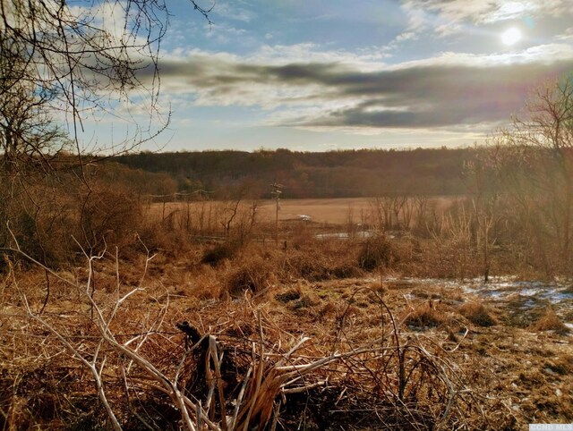 1644 Rte 9, Stuyvesant, NY 12173 - view of nature