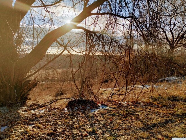 1644 Rte 9, Stuyvesant, NY 12173 - view of local wilderness