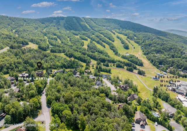 6 White Way, Windham, NY 12496 - photo 6