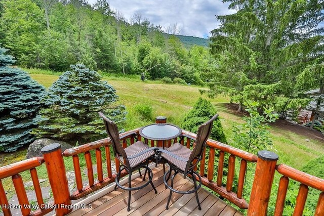 6 White Way, Windham, NY 12496 - photo 86
