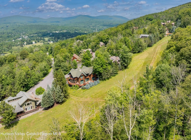 6 White Way, Windham, NY 12496 - photo 5