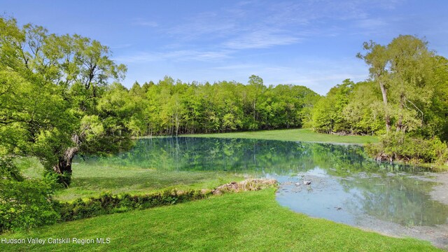 4082 County Route 26, Greenville, NY 12083 - photo 10