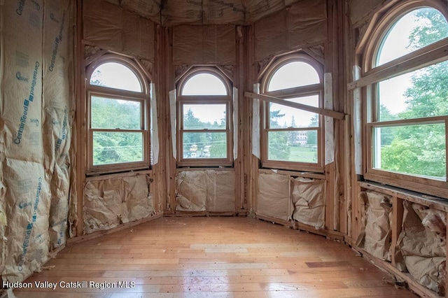 misc room featuring plenty of natural light and light wood-type flooring