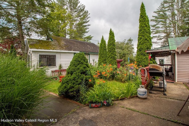 view of yard featuring a patio