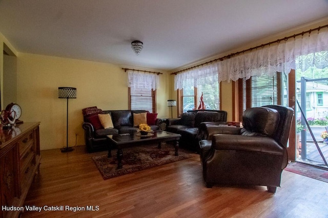 living room with hardwood / wood-style flooring