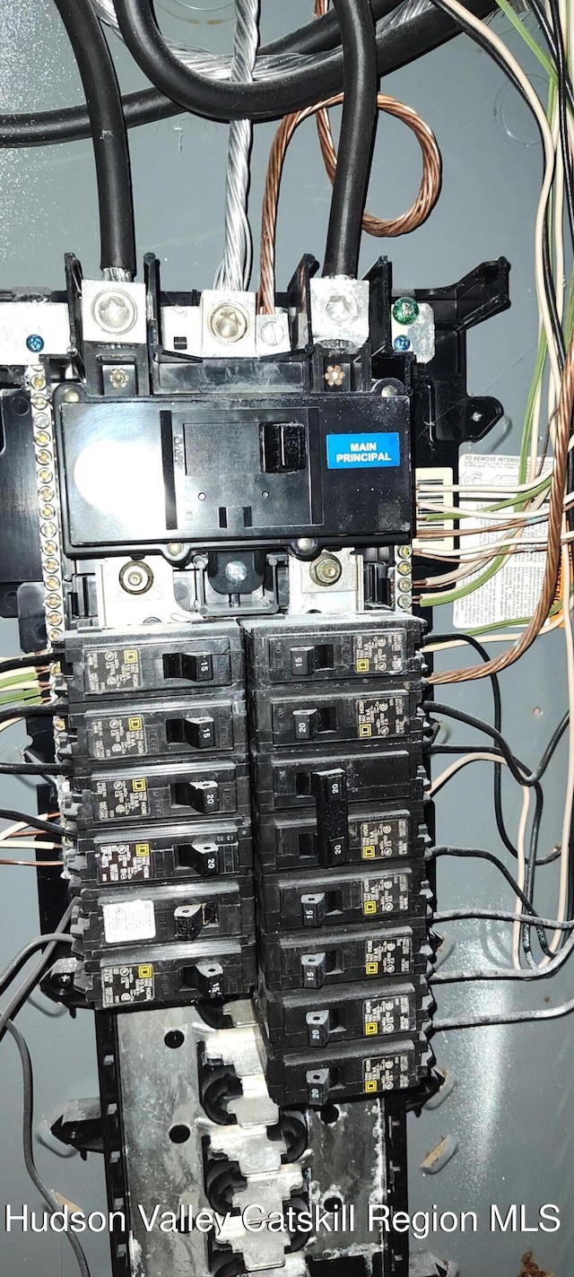 16 Lake Rd, Rensselaerville, NY 12147 - utilities with electric panel