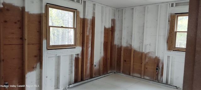 16 Lake Rd, Rensselaerville, NY 12147 - view of miscellaneous room