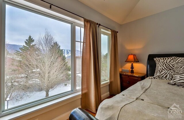 24 Windham View Rd, Windham, NY 12496 - photo 29