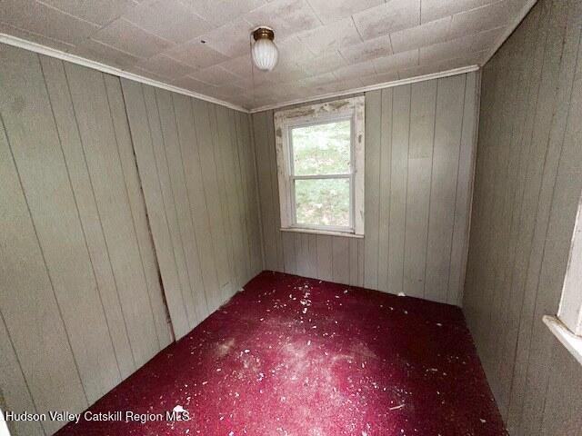 818 Cauterskill Rd, Catskill, NY 12414 - carpeted spare room featuring wooden walls