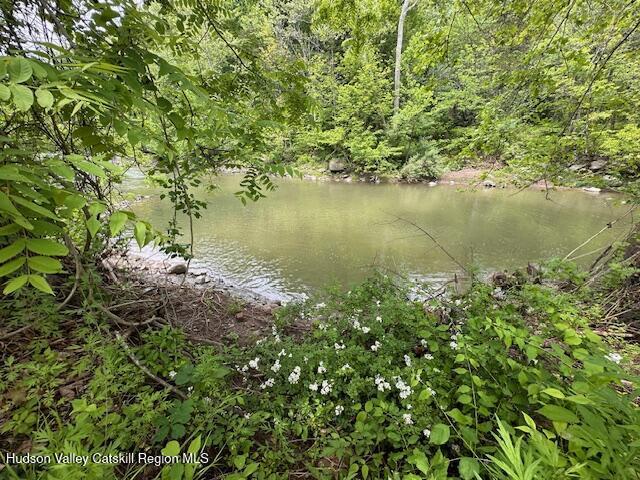 818 Cauterskill Rd, Catskill, NY 12414 - water view