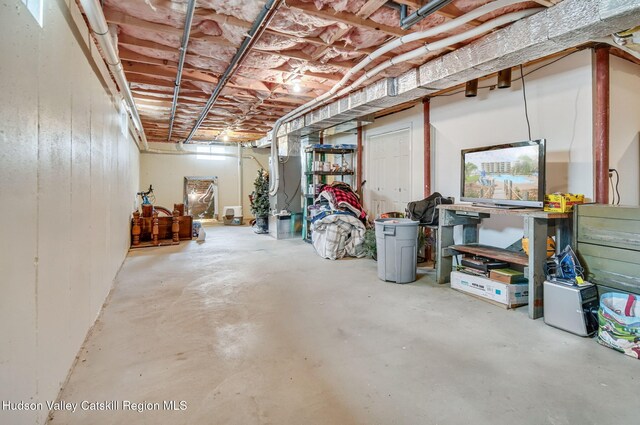 825 County Route 403, Greenville, NY 12083 - view of unfinished basement