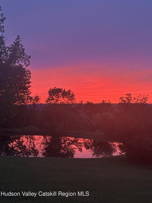 825 County Route 403, Greenville, NY 12083 - view of nature