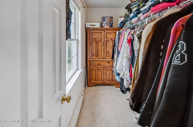 825 County Route 403, Greenville, NY 12083 - spacious closet featuring light carpet