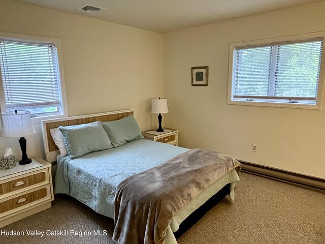 27 Grays Ln, Tannersville, NY 12485 - photo 18