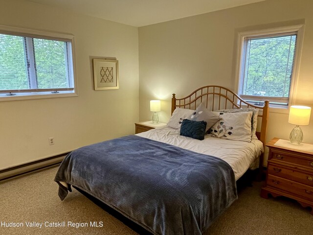 27 Grays Ln, Tannersville, NY 12485 - photo 16