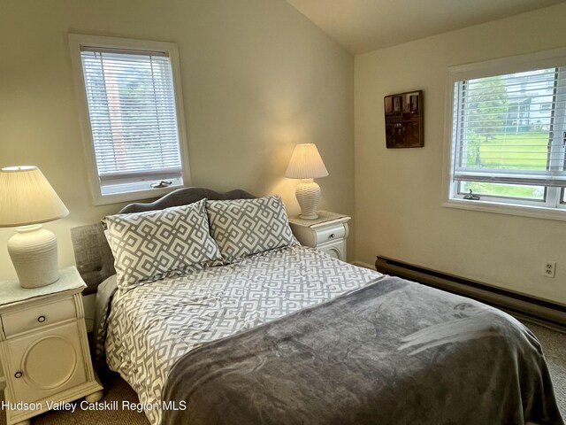 27 Grays Ln, Tannersville, NY 12485 - photo 10