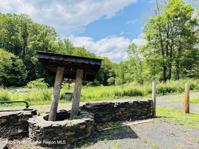 1595 Rte 145, East Durham, NY 12423 - photo 15