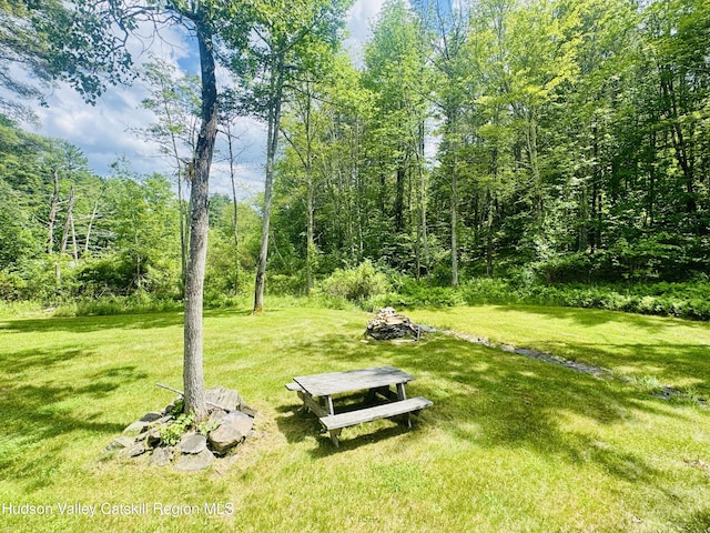 1595 Rte 145, East Durham, NY 12423 - photo 3