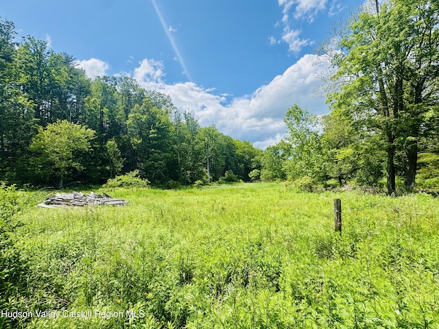 1595 Rte 145, East Durham, NY 12423 - photo 9