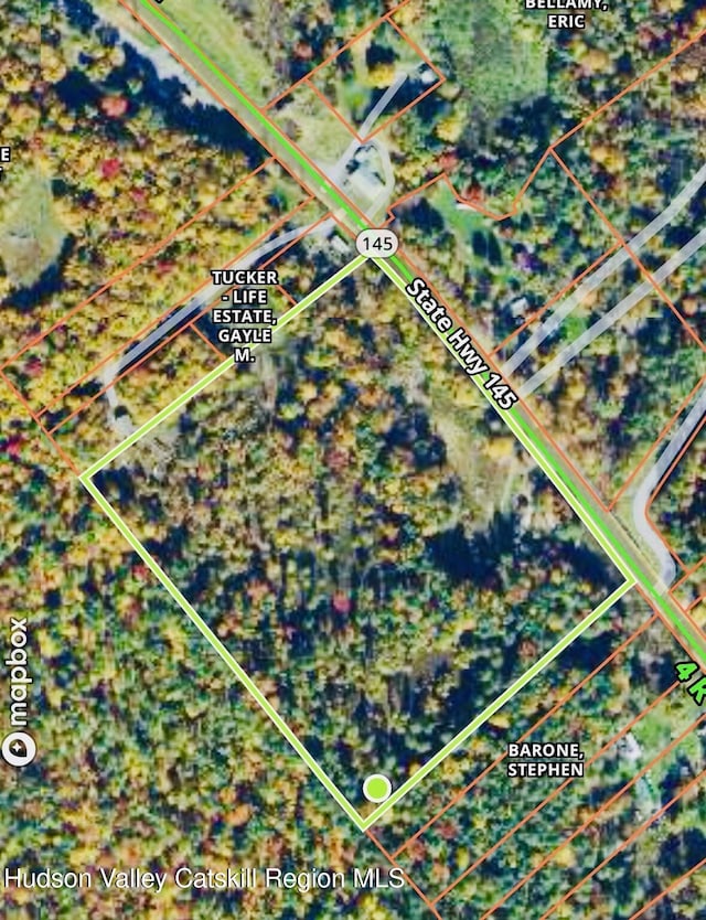 1595 Rte 145, East Durham, NY 12423 - photo 30