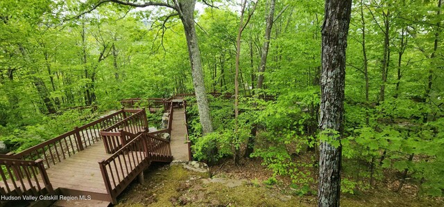 220 Botti Dr, Hunter, NY 12442 - deck with a view of trees