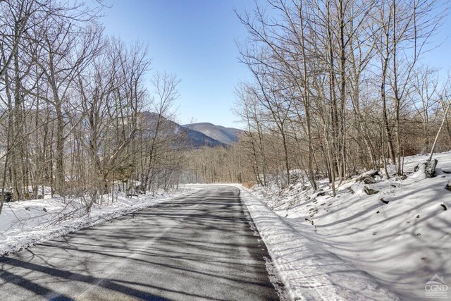 220 Botti Dr, Hunter, NY 12442 - mountain view