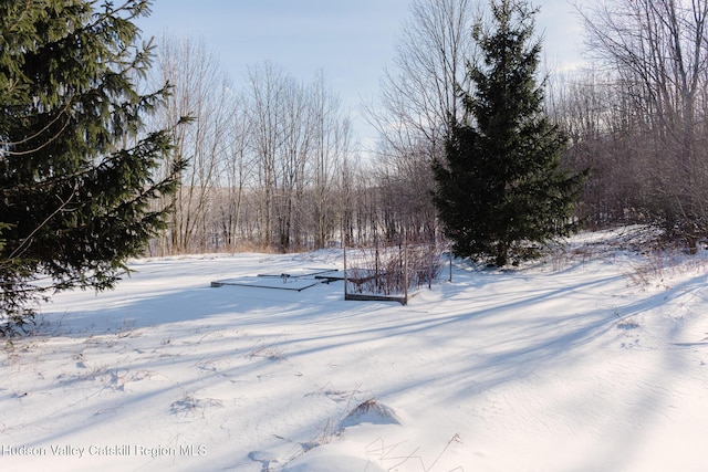 view of yard covered in snow