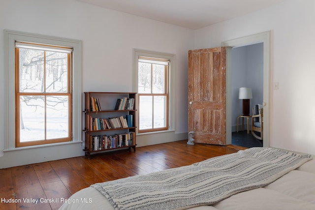 bedroom featuring multiple windows and dark hardwood / wood-style floors