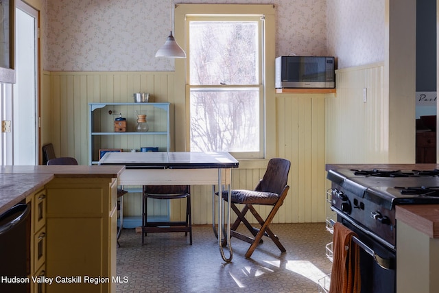 kitchen with gas range oven, black dishwasher, and a wealth of natural light