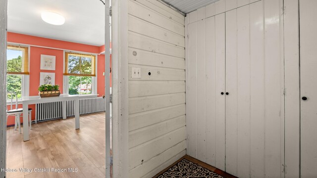 7 Paul Ave, Hudson, NY 12534 - hallway featuring light wood-style floors