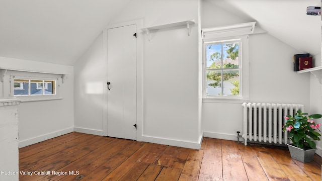 7 Paul Ave, Hudson, NY 12534 - additional living space featuring radiator, vaulted ceiling, and hardwood / wood-style floors
