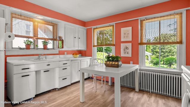 7 Paul Ave, Hudson, NY 12534 - kitchen with light countertops, radiator, white cabinets, and light wood finished floors