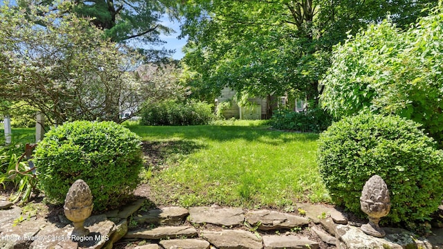 7 Paul Ave, Hudson, NY 12534 - view of grassy yard