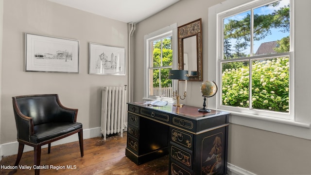7 Paul Ave, Hudson, NY 12534 - sitting room featuring radiator, dark wood-style floors, and an office area