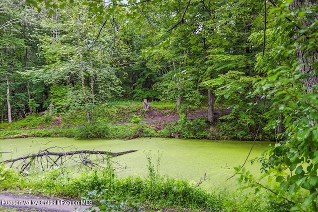 61 Travis Blvd, Catskill, NY 12414 - photo 27