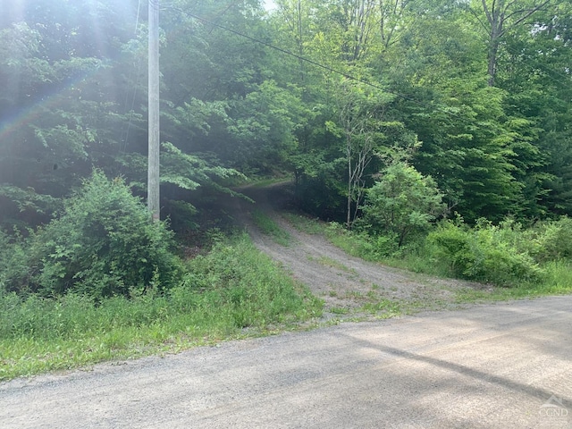 189 Covenant Cir, New Lebanon, NY 12125 - photo 2