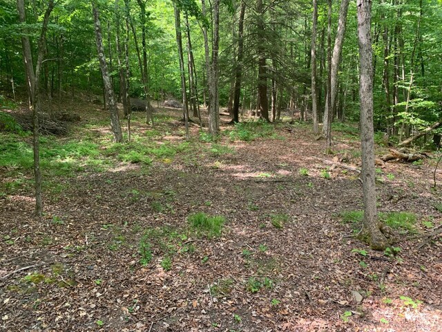 189 Covenant Cir, New Lebanon, NY 12125 - photo 7