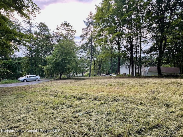 0 Murray St, Chatham, NY 12037 - photo 2