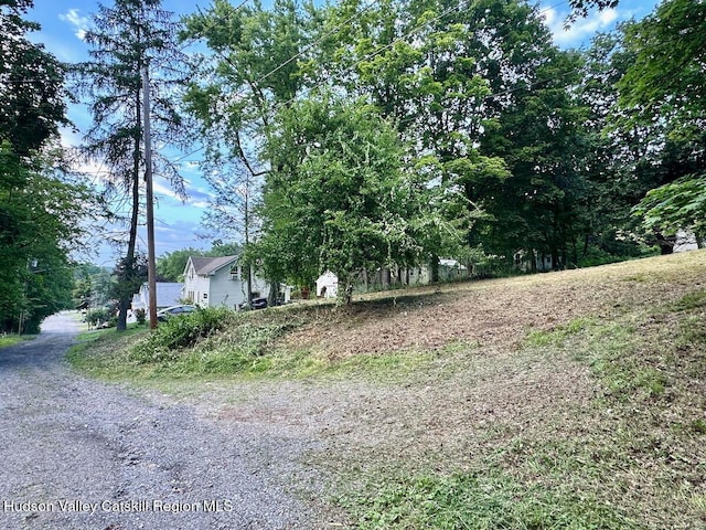 0 Murray St, Chatham, NY 12037 - photo 16