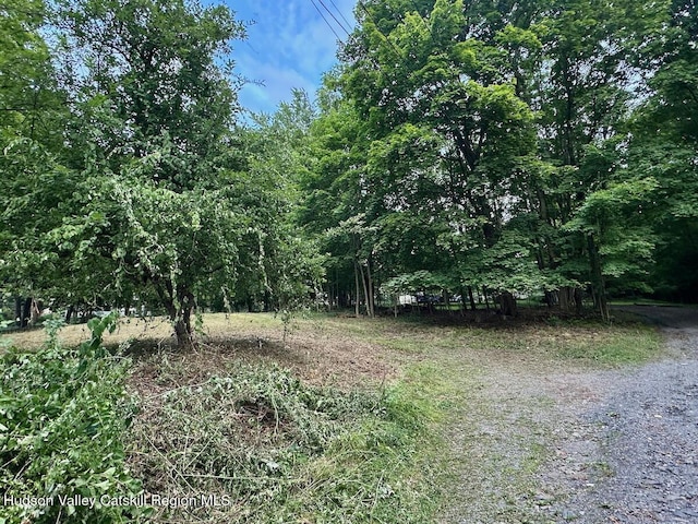 0 Murray St, Chatham, NY 12037 - photo 15
