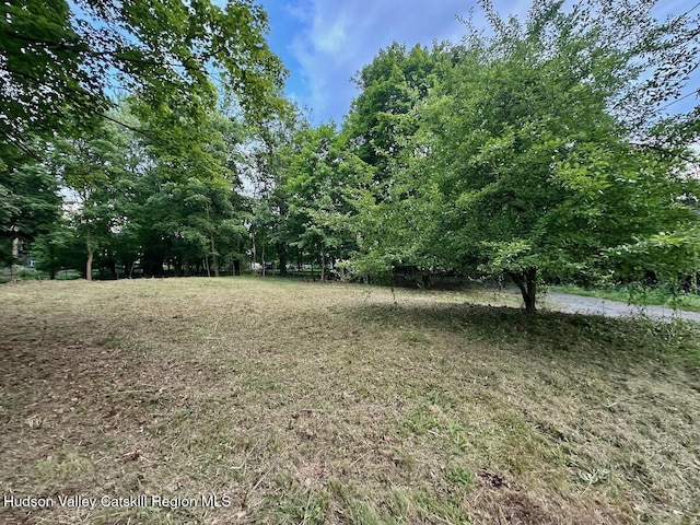 0 Murray St, Chatham, NY 12037 - photo 10