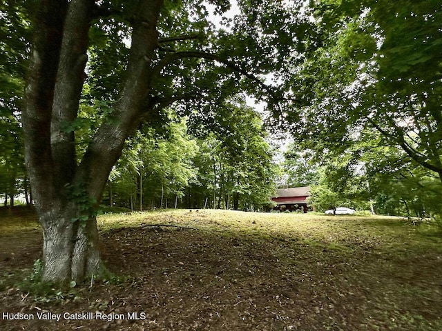 0 Murray St, Chatham, NY 12037 - photo 14