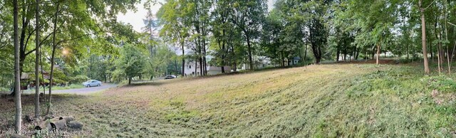0 Murray St, Chatham, NY 12037 - photo 17