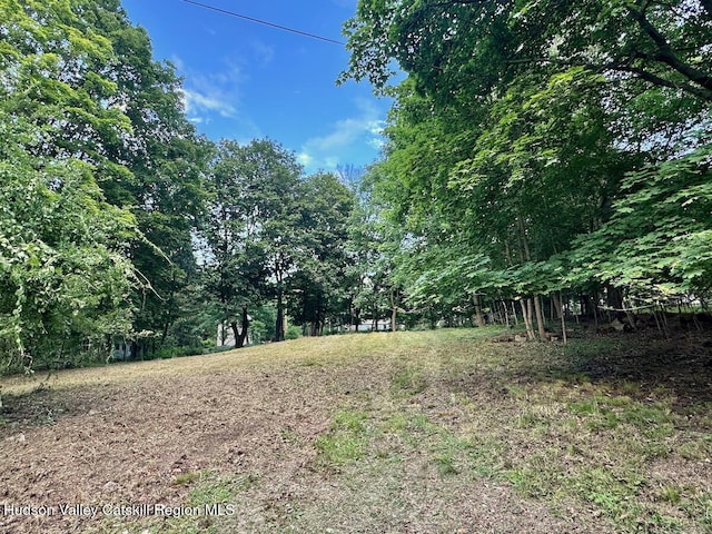 0 Murray St, Chatham, NY 12037 - photo 7